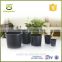 wholesale black 1 gallon plastic planter pot