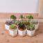 Zakka combination potted six sides indoor glazed pottery planters with bamboo tray