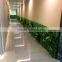 Vertical climbing grass wall