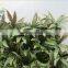 artificial green wall for hotel decoration,fake plants wall home decoration