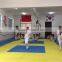 High quality shockproof non toxic durable eco friendly tatami grappling mats 40mm