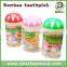 Two point bamboo toothpick