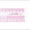 Factory wholesale high quality plastic stencil ruler for garment pattern marking and design 40cm&16" #B-66