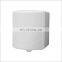 Wall Mounted Center Feed Roll Towel Dispenser for Public Health