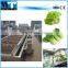 Air bubble salad vegetable fruit washing cleaning machine