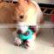 Health Pet TPR Dog Feeder Rubber Dog Toys Teeth Cleaning Grinding Pet Dog Treat Chew Toy