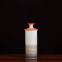 European Hand Made Paint Creative Jingdezhen Ceramic Vase For Hotel Office Decor