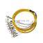 High Performance OEM Customized SM 12 Core FC Single Mode  Fiber Optic Patch Cord Pigtail