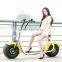 the passion and speed mixed motorcycle 2016 latest electric scooter 800W citycoco scooter two wheel for cool sports