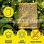 Dual Yellow Sticky Flying Insect Glue Trap Flies For Flying Plant Insect  Fungus Gnats Aphids  Pest Control