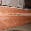 Chinese Popular Polished Tianshan Red Granite Floor Tiles