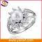 925 sterling silver jewelry natural pearl rings wholesale                        
                                                Quality Choice