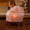 Himalayan Natural Rock Salt Lamp