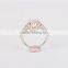 New arriving fashion women rings solid14K gold jewelry AAAAA CZ