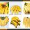 Leader banana peeler for sale Whatsapp:+8618336073732