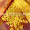 Chips pellet/macaroni pasta making machine