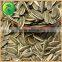 Sunflower Seeds Refined Sunflower Oil