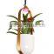 LED decoration light with plant