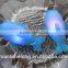 Baby Bath Toy Colorful LED Flashing Dolphin Lamp