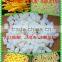 soap Noodles,hight TFM toilet soap noodles, laundry soap noodles, multipurpose soap noodles