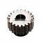 Standard or Customized Spur Gear/Pinion