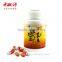 Patent Product Liver Disease Treatment Liver Cancer Cure Ganoderma Excel Capsule