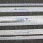 HEYU plastic 12" inch 30cm magnifier ruler for promotion