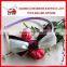 Wholesale Ribbon Bow Hairband/ Kids Hair Accessory
