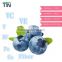 TTN 2016 Hot Sale Blueberry Powder Fruit Freeze Dried Blueberry