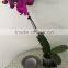 Hot Sale Custom Design Waterproof Transparent Vinyl Bopp Material Self-adhesive Labels Stickers Printing in Roll