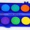 12 Color Solid Watercolor Cake, Professional Children Outdoor Painting Pigment for Transparent Watercolor Paint
