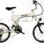 20'' new style PAS e-bike built-in Lifepo4 lithium battery 24V 8AH