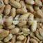 Roasted And Salted Peanut With Spicy , Spicy Peanut Kernels, Peanut Snacks