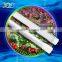 XQD led grow light full spectrum hydroponic