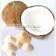Factory Supply High Quality Organic Coconut Milk Powder