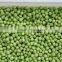 Frozen Peas Green Peas