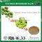 Hot-sale Green Coffee Bean Coffea arabica Extract with Total Chlorogenic Acid 60%