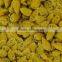 Exporters of Turmeric Bulb Erode