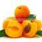 Apricot Kernel Carrier oil