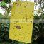 15x20cm Yellow Dual Sticky Fly Traps for Aphid Insects White Flies, Aphids, Fungus Gnats