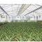 Qingzhou hengyuan greenhouse air circulation fans