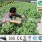 DAYU Irrigation - Drip Pipe for irrigation system in farm