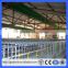 Guangzhou A type galvanized wire quail cage and water system chicken cage Broiler Chicken cage(Guangzhou Factory)