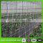 PE + UV plant support net Pea & Bean Netting