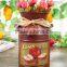 Mini Milk Bucket Style Flower Pot Country Side Metal Flower Planter