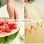 Multifunction Kitchen Fruit Salad tool , Melon baller & Carving knife