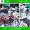 dubai style recycling mixed bales 45kg used clothing buyers