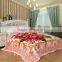 Hot selling polyester acrylic raschel printed mink blanket
