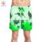 2017 brazilian boardshorts private label board short with your own print design