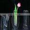 Elegant home small clear plastic vases for centerpieces